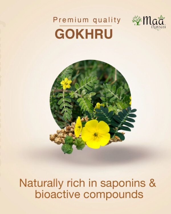 Gokhru Powder - Image 5