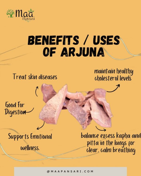 Arjun Chaal Powder - Image 6