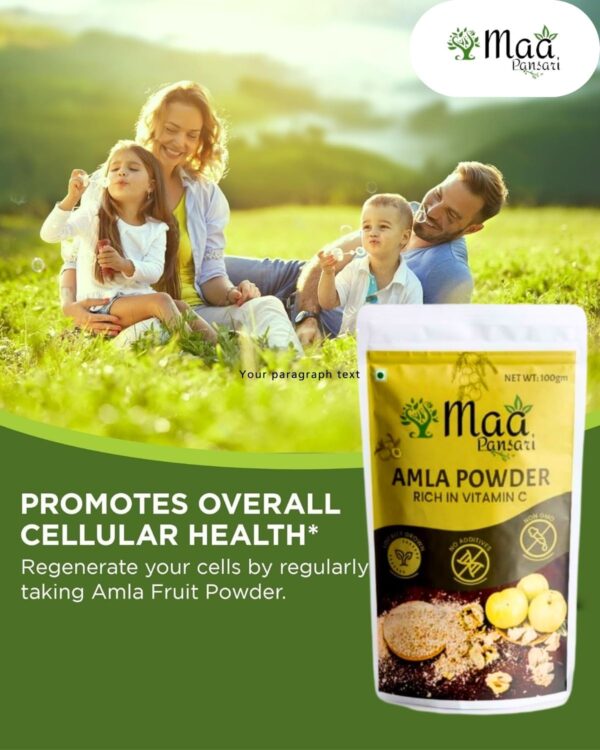 Amla Powder - Image 7